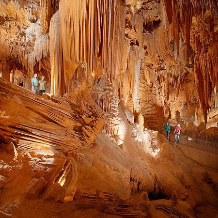 Luray Caverns Motels ห้อง รูปภาพ